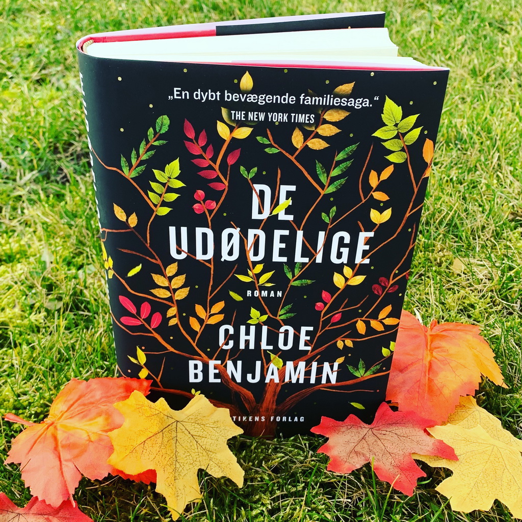 De udødelige af Chloe Benjamin