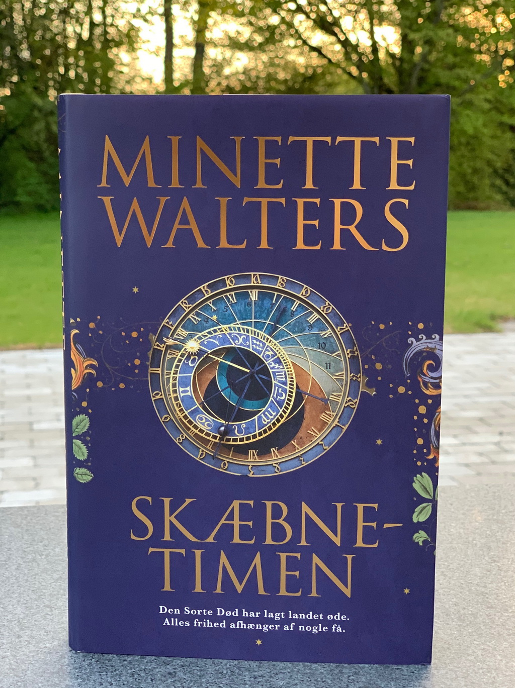 Skæbnetimen af Minette Walters