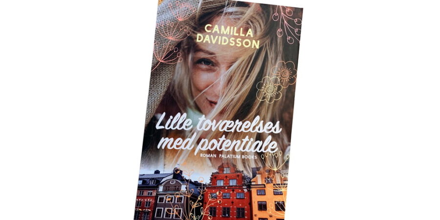 Lille toværelses med potentiale af Camilla Davidsson