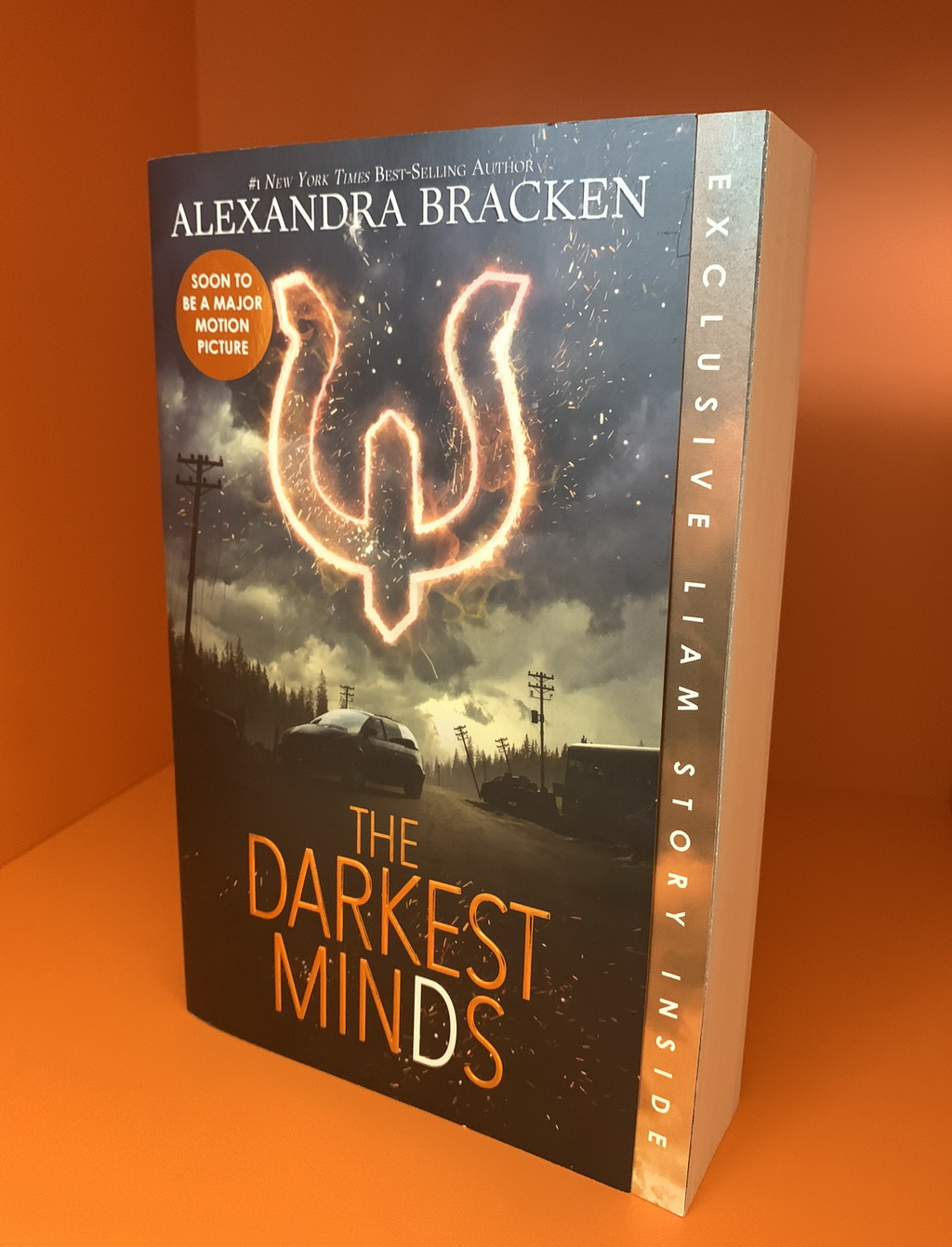 Billede af: The Darkest Minds af Alexandra Bracken
